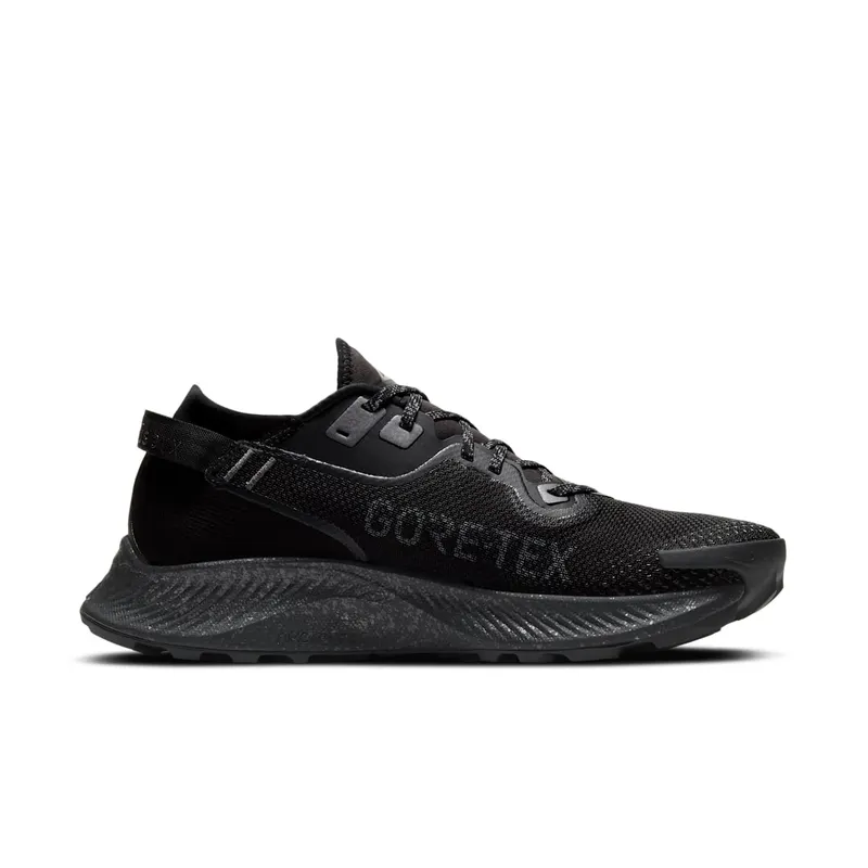 Nike Pegasus Trail 2 GORE-TEX Trail Running Black (CU2016-001)
