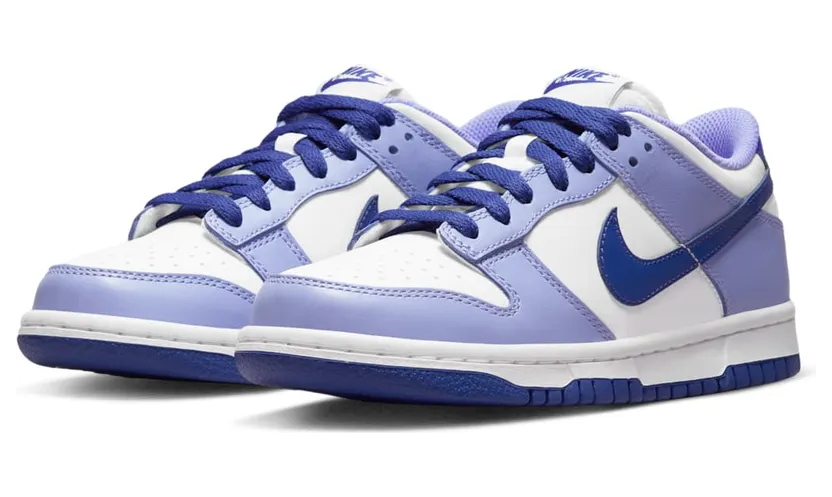 nike-dunk DZ4456-100