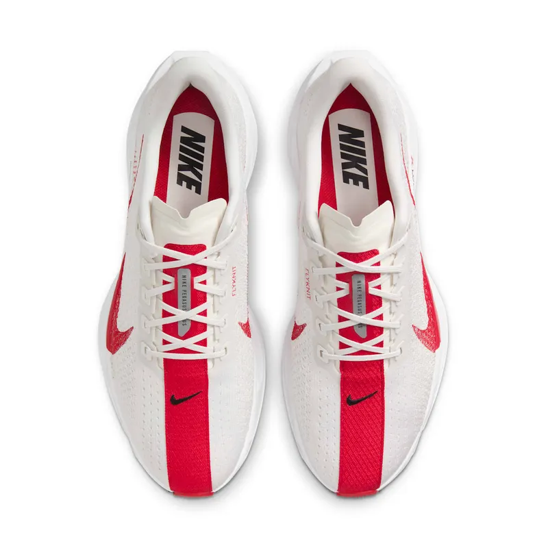 Nike Pegasus Plus “Platinum Tint University Red” (FQ7262-003)