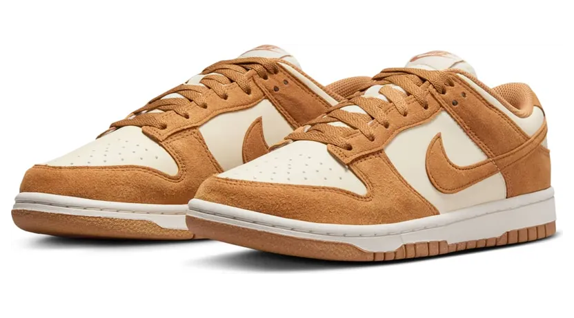 nike-dunk HJ7673-100