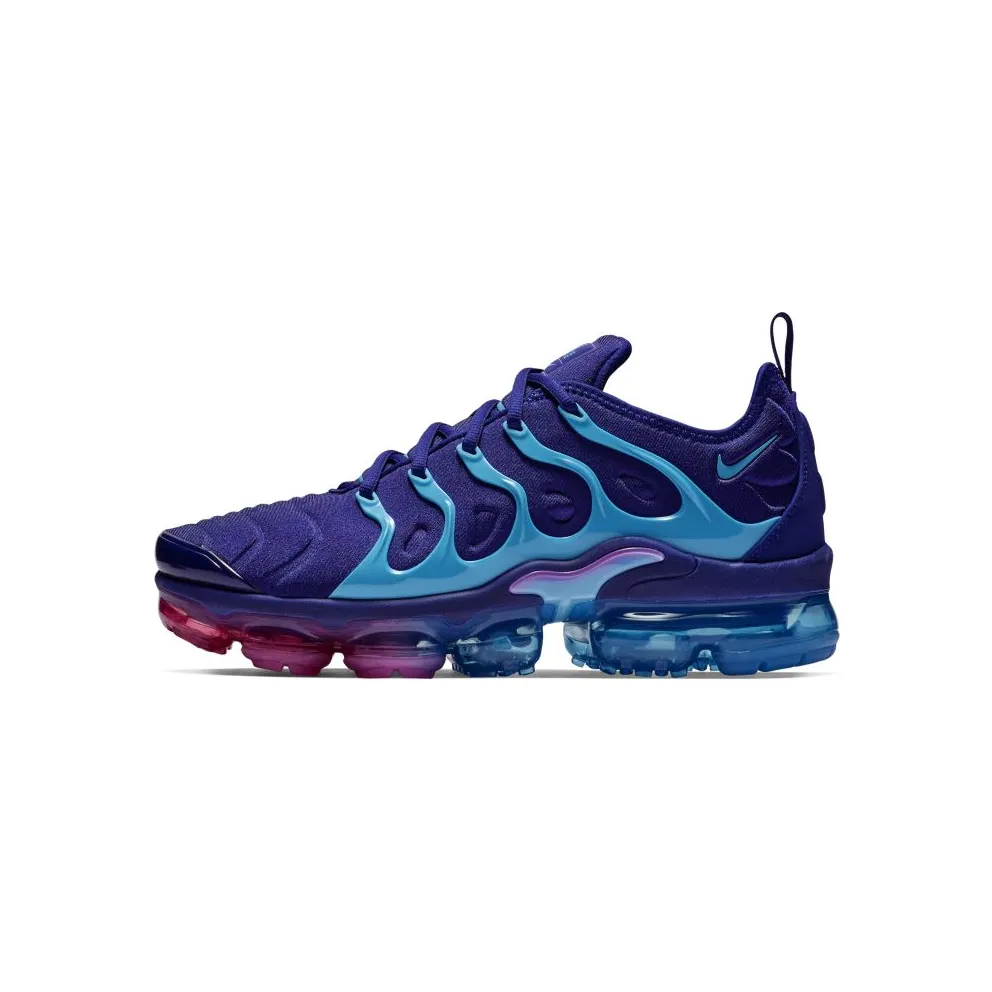 Nike Air VaporMax Plus Hornets Regency Purple/Light Blue Fury-Laser Fuchsia (BV6079-500)