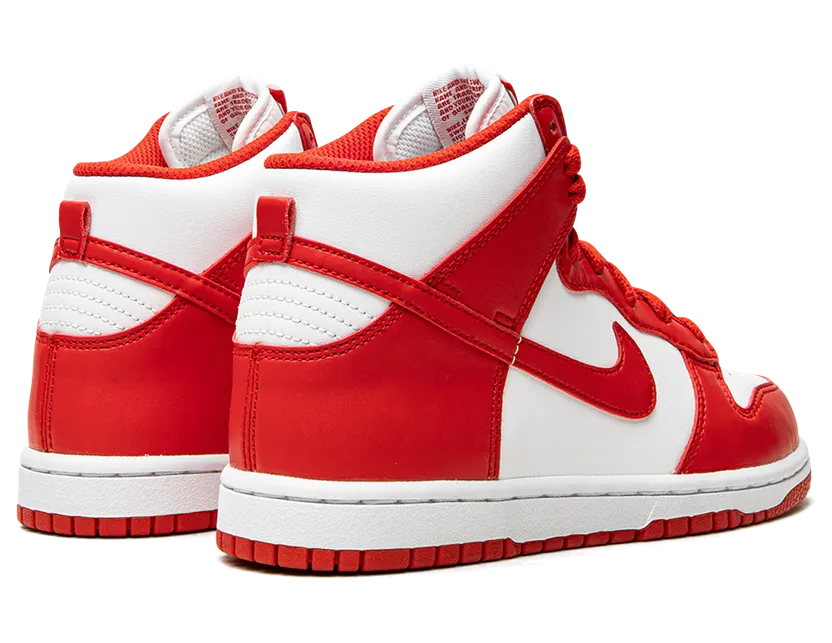 nike-dunk DD2314-106