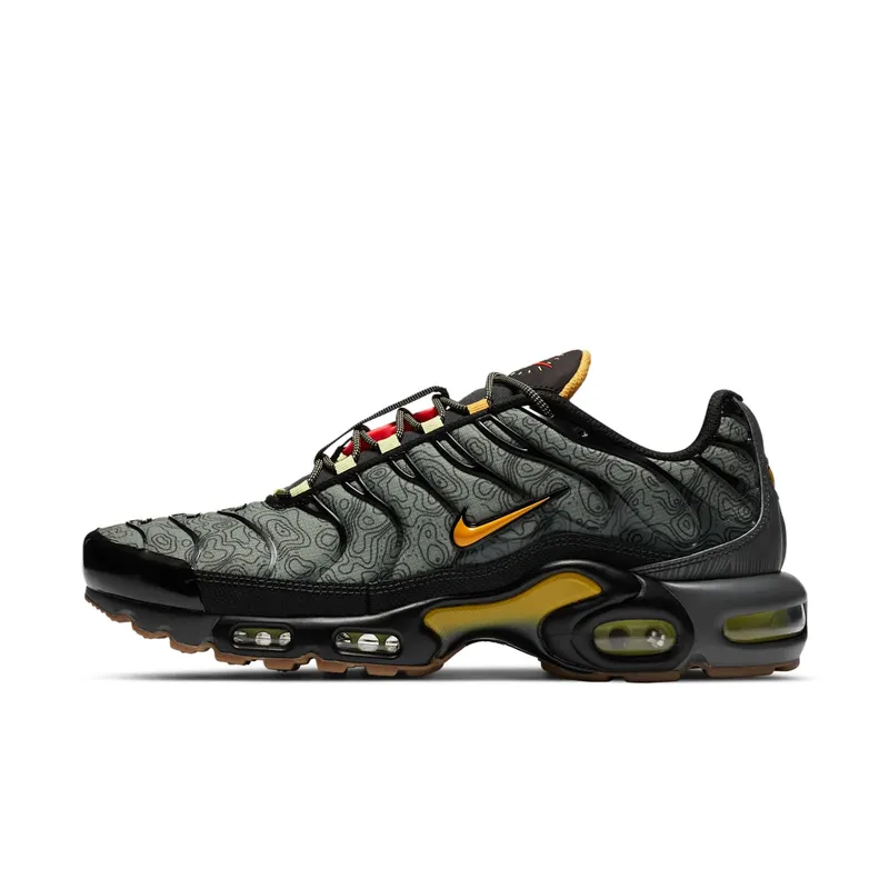 Nike Air Max Plus Fresh Perspective (DC7392-300)