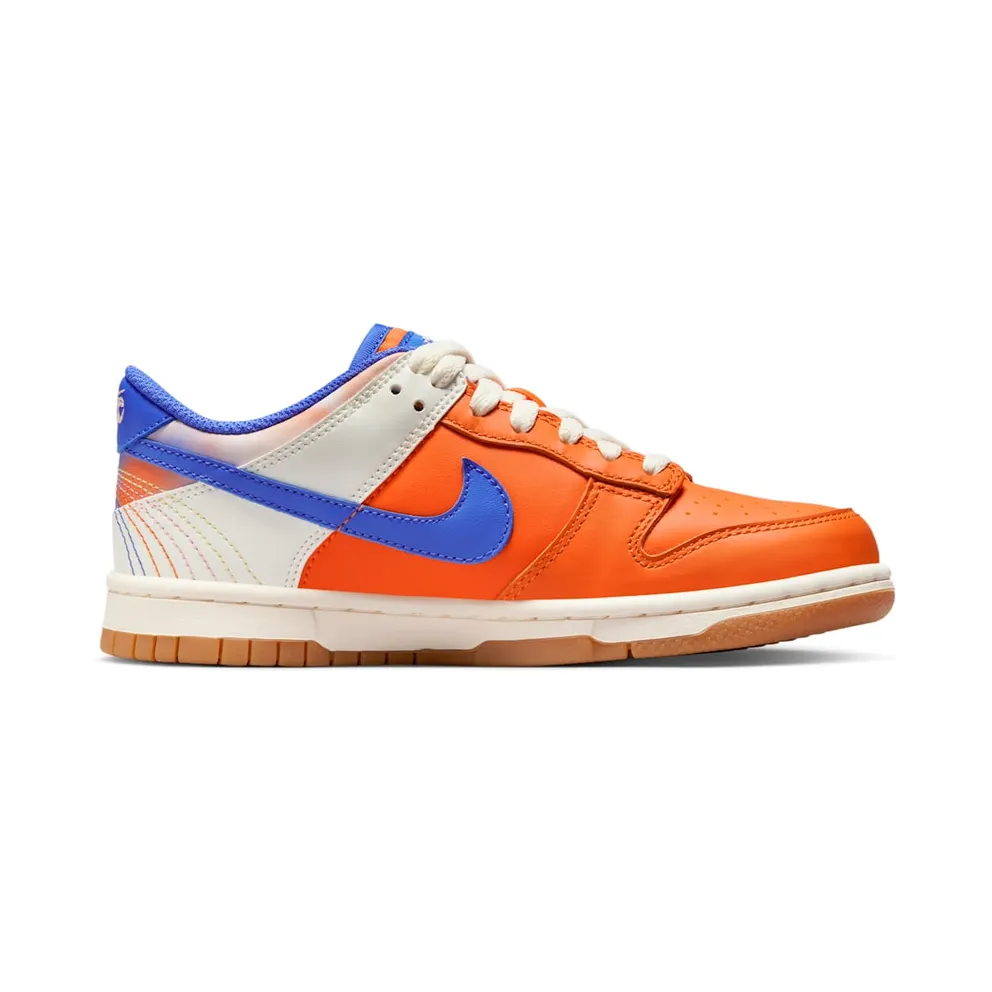 Nike Dunk Low GS “Everything You Need” (FN0600-801)