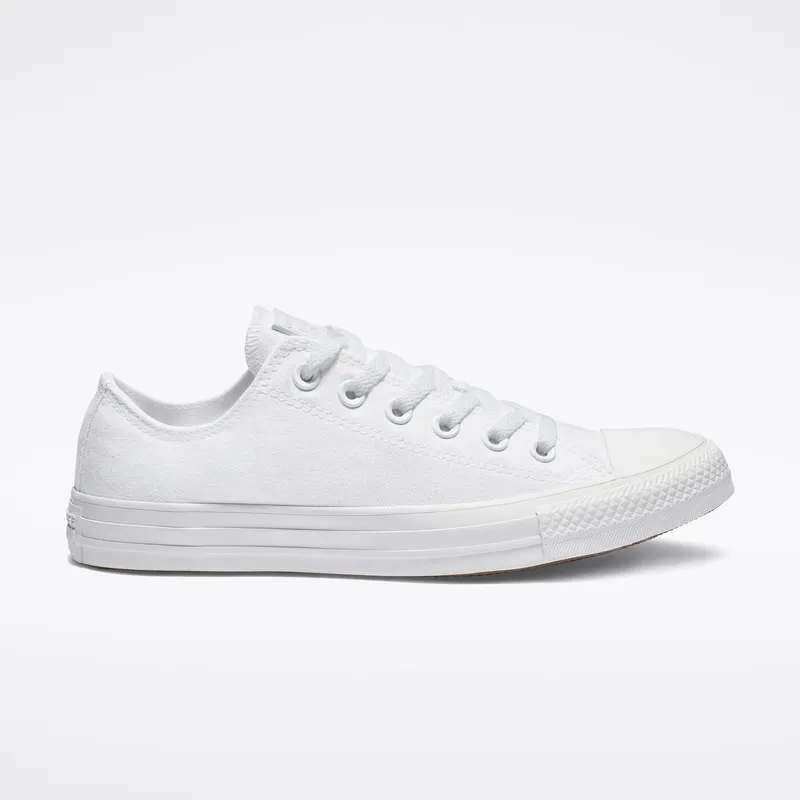 Converse Mono Colour Chuck Taylor All Star Low Top (1U647)