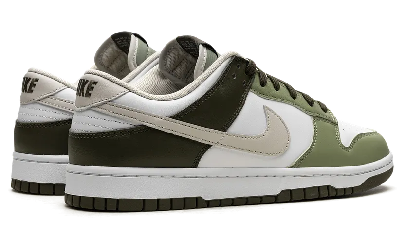 nike-dunk FN6882-100