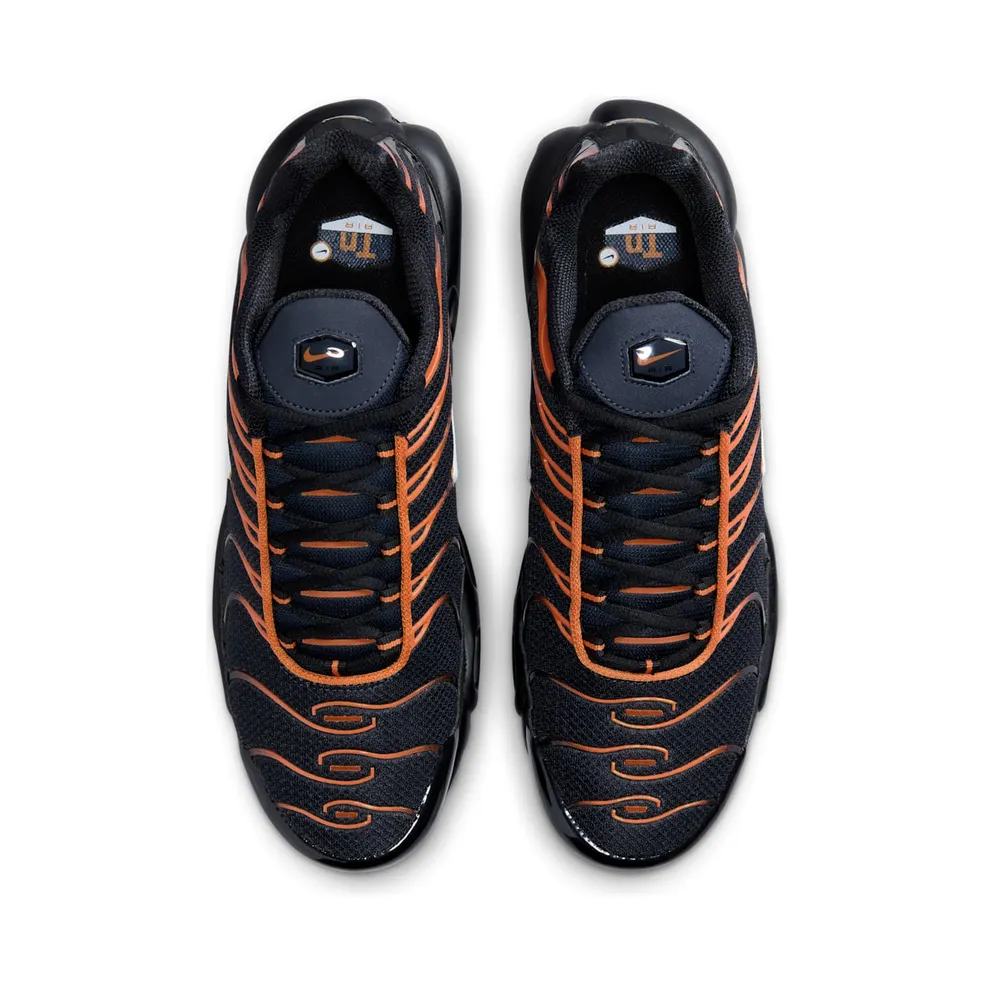 Nike Air Max Plus Dark Obsidian Monarch (FN6949-400)