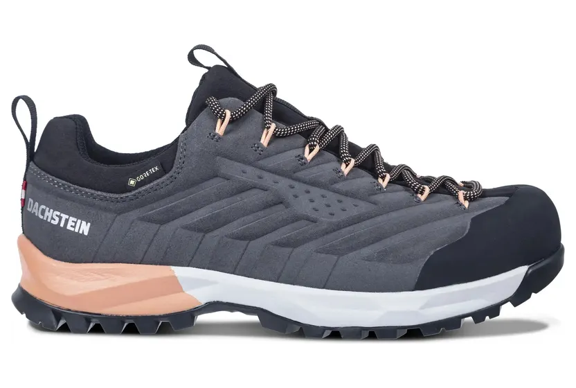 Vrouwelijke wandelschoenen Dachstein Sf-21 Gtx (575061140C-270)