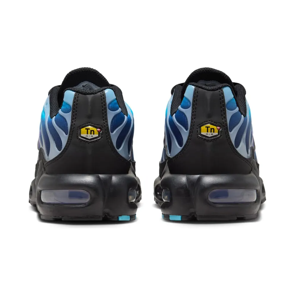 Nike Air Max Plus Black Hydrangeas (HV2510-001)