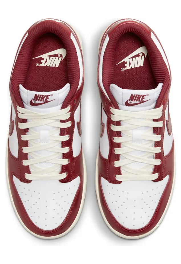 nike-dunk FJ4555-100