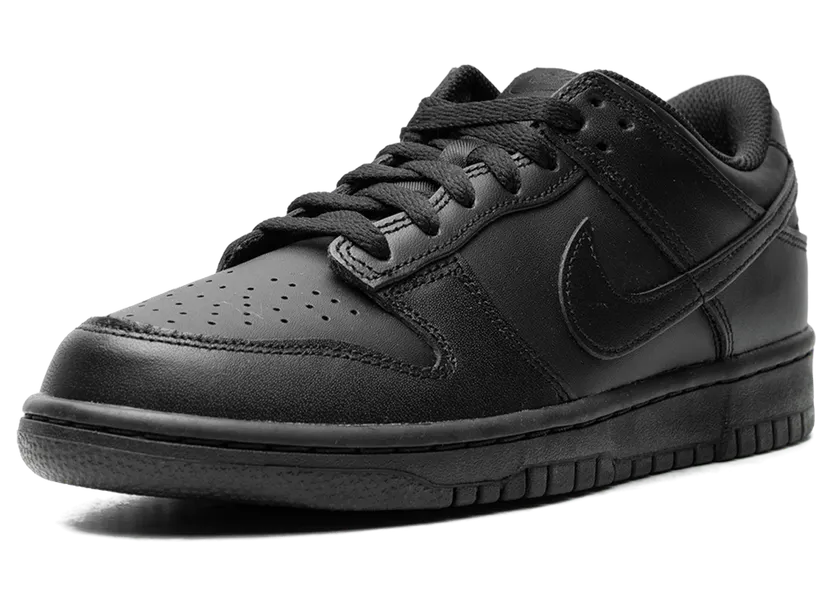 nike-dunk FB9109-009