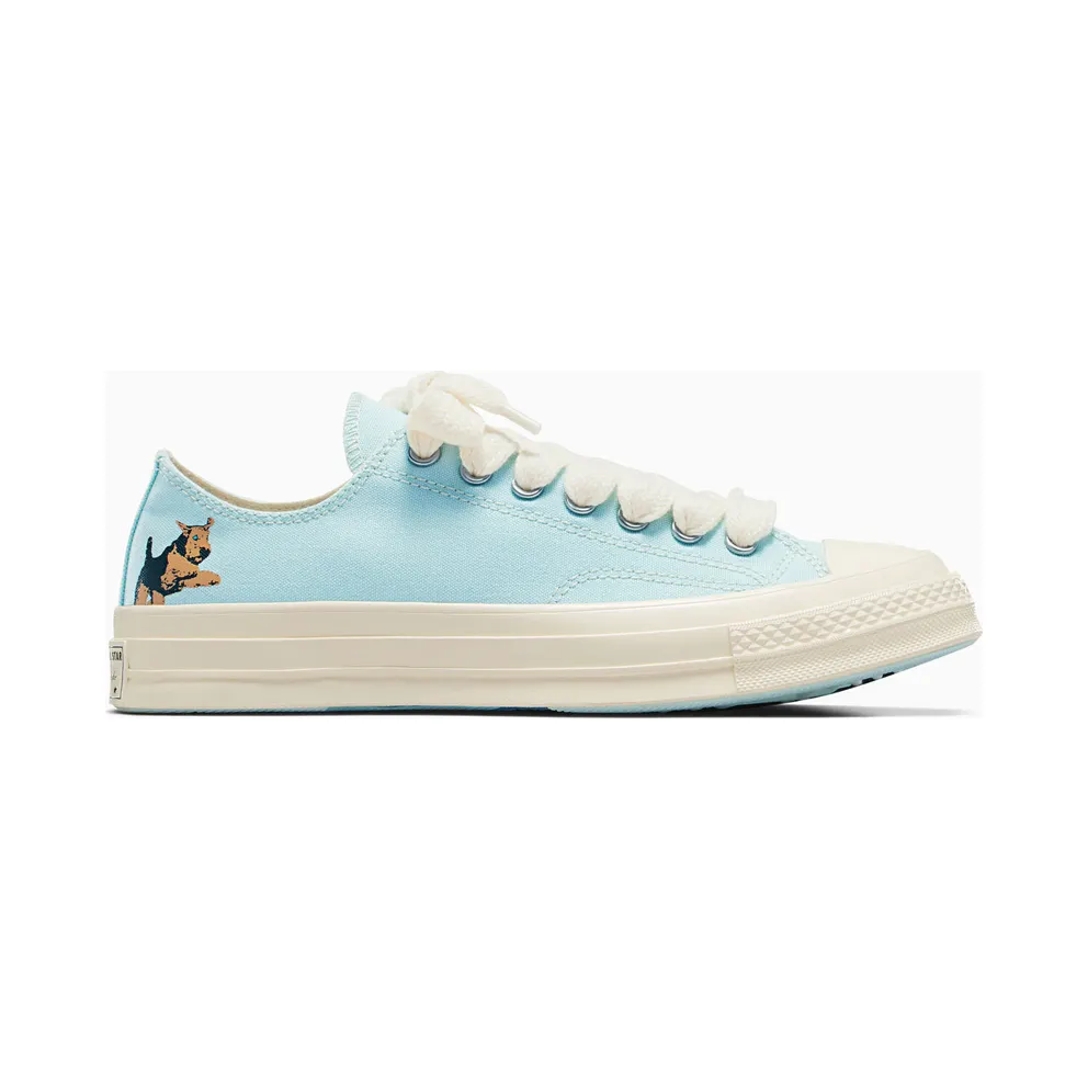 Golf Le Fleur x Converse Chuck 70 Low ‘Darryl Pack – Cooling Oasis’ (A12146C)