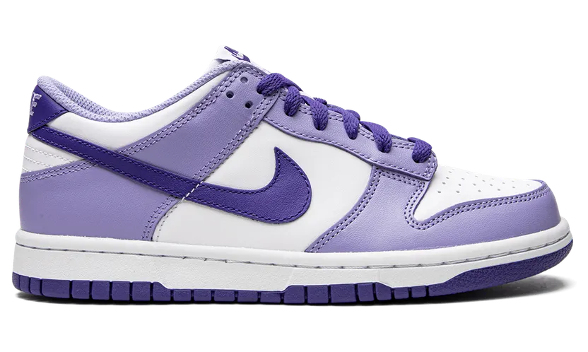 nike-dunk DZ4456-100