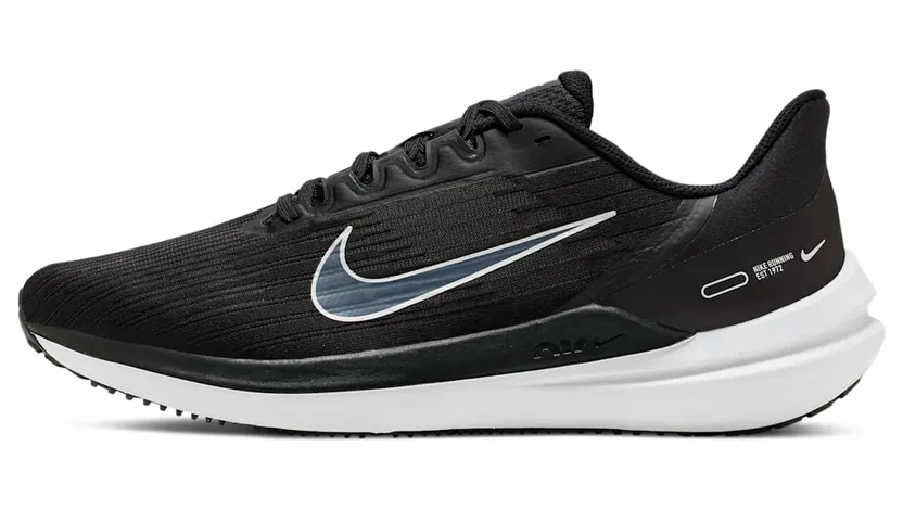 Nike Air Winflo 9 Black Smoke Grey (DD6203-001)