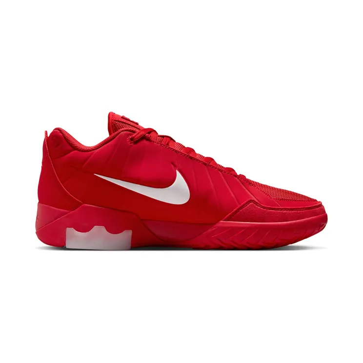 lebron-witness-9 II7520-600