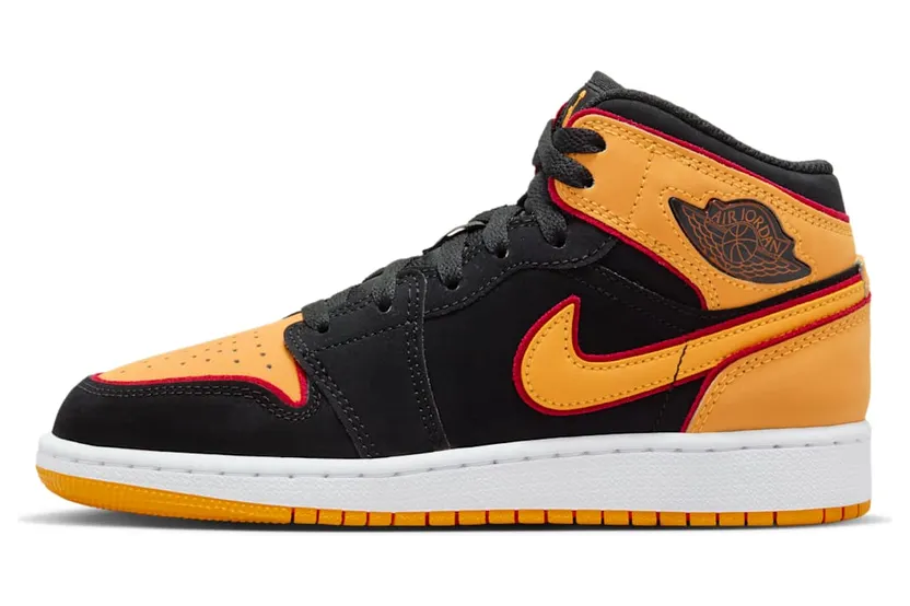 Air Jordan 1 Mid FJ4924-008