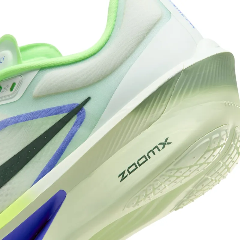 nike-zoom FN8454-300