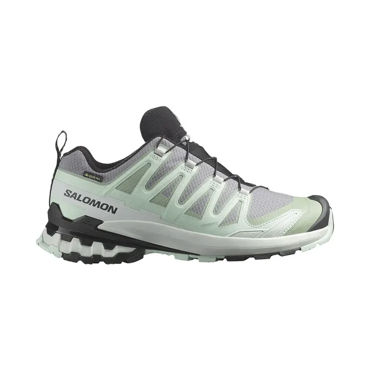 Salomon XA Pro 3D V9 Gtx W “Grey ⅔ EU / 4 UK” (L47823100)