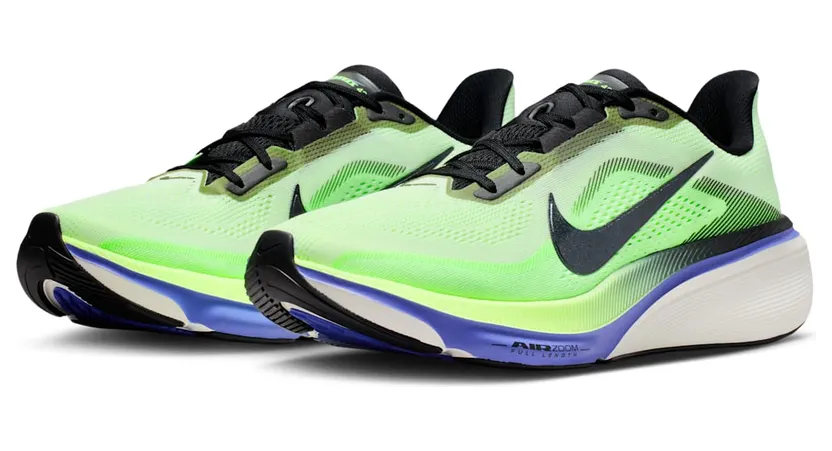 nike-air-pegasus IB1873-702