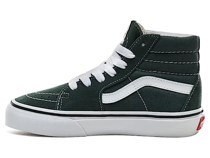 vans-sk8-hi VN0A4BUWV3N