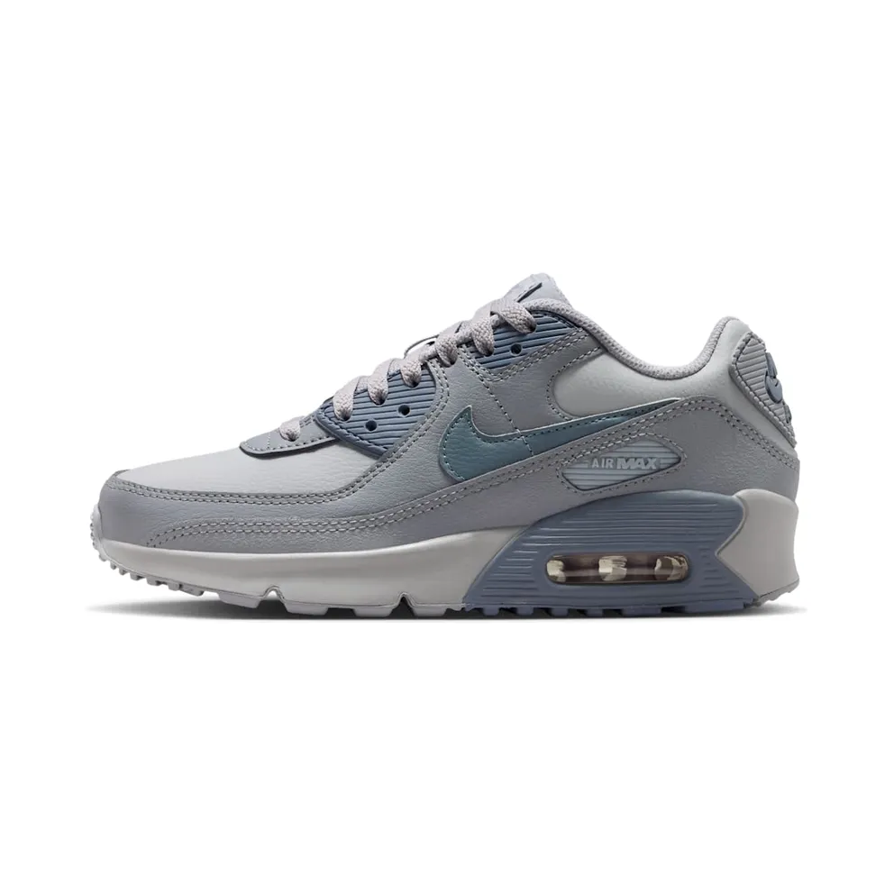 Nike Air Max 90 LTR Wolf Grey Stealth Armory Blue (CD6864-032)