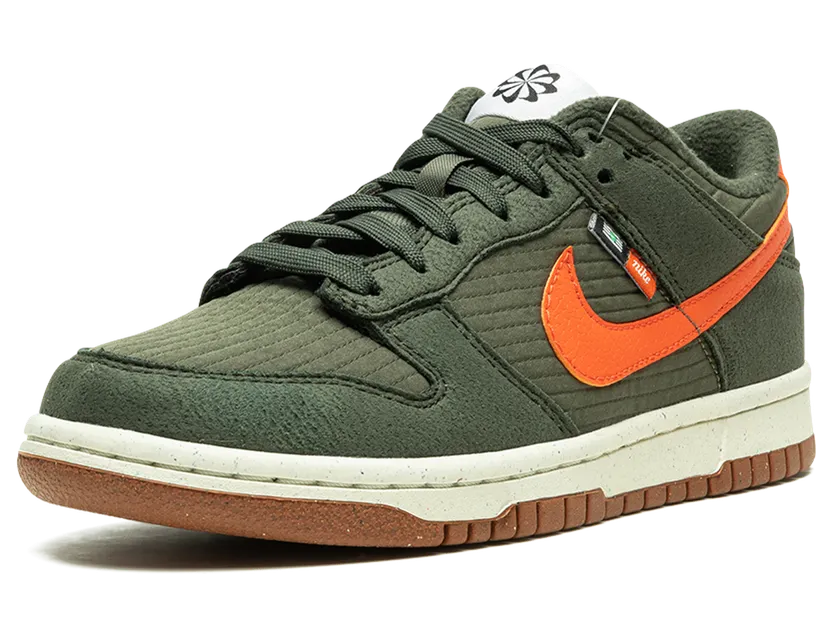 nike-dunk DC9561-300