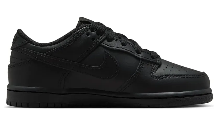 nike-dunk FB9108-009