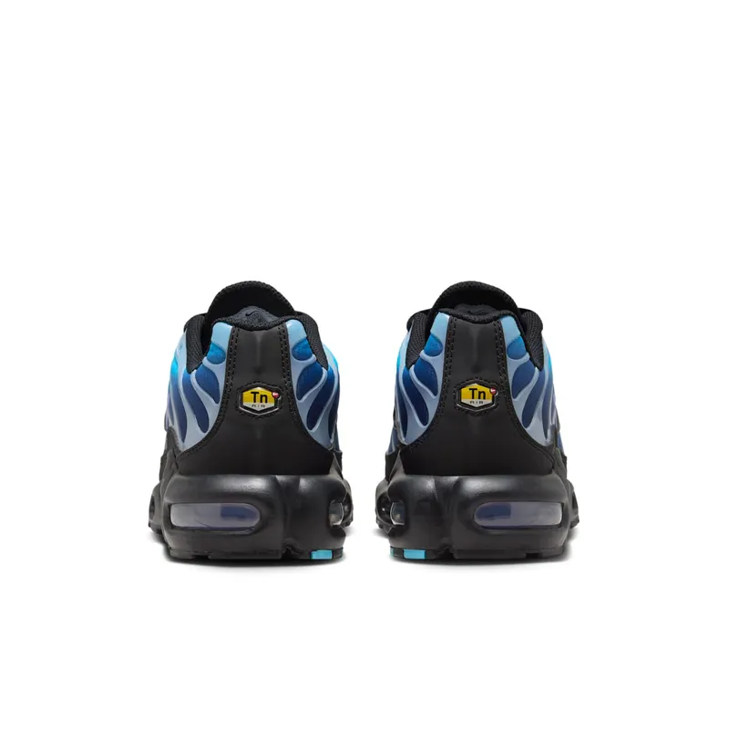 Nike Air Max Plus Black Hydrangeas (HV2510-001)