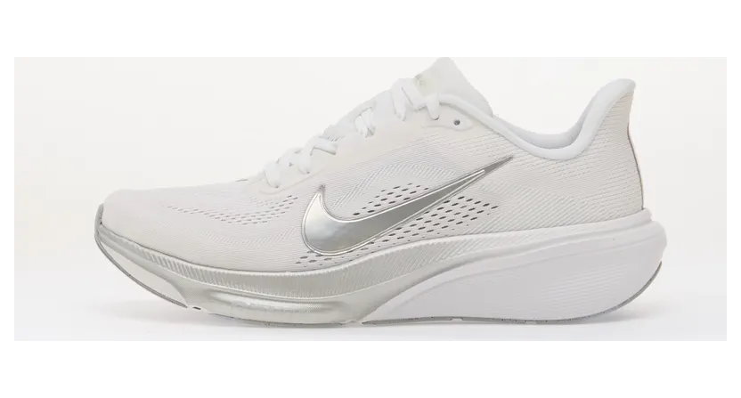 Nike Pegasus 42 White Wolf Grey Cool Grey Metallic Silver