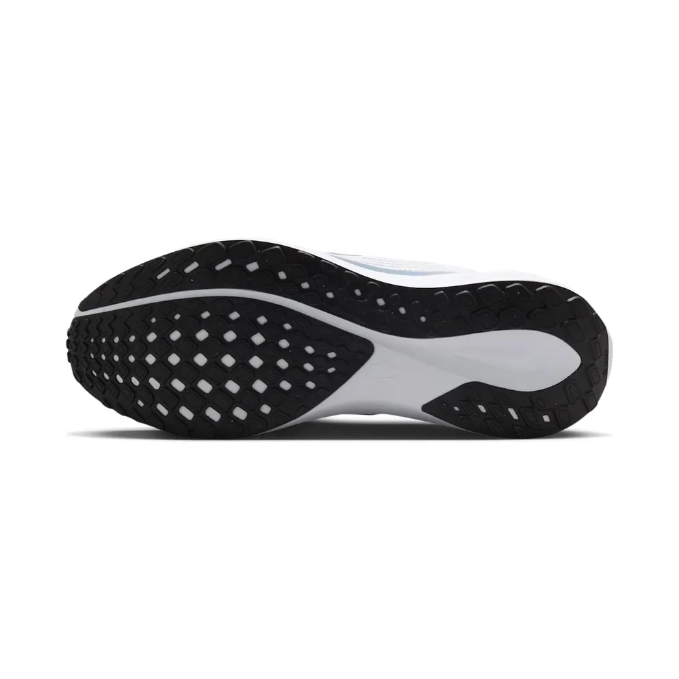 Nike Air Zoom Pegasus 41 EasyOn Pure Platinum Ashen Slate Racer Blue Metallic Silver (FQ7837-003)