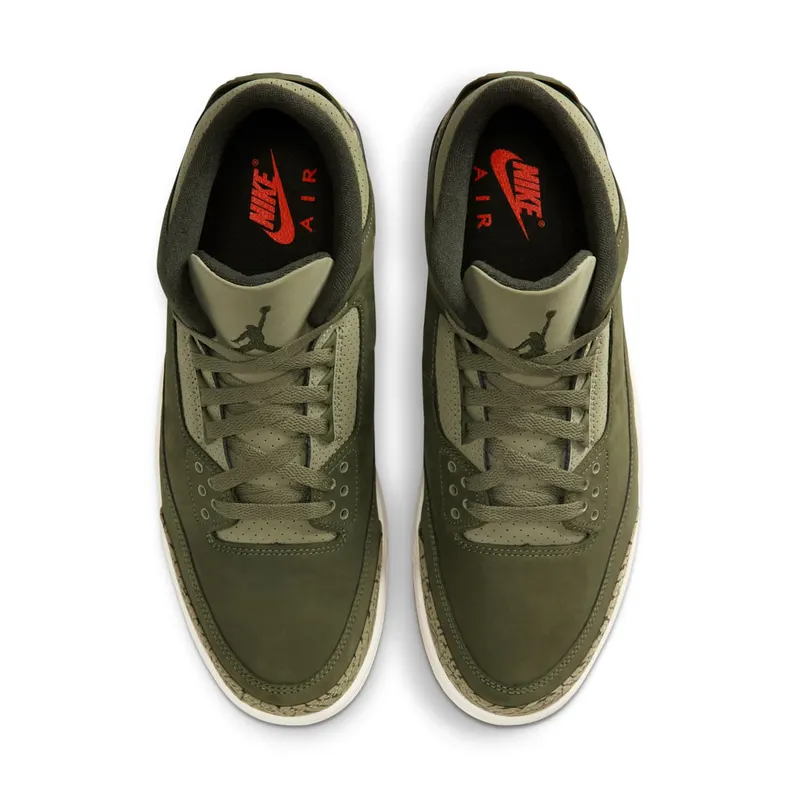 Air Jordan 3 “Family Affair” (DN3707-202)