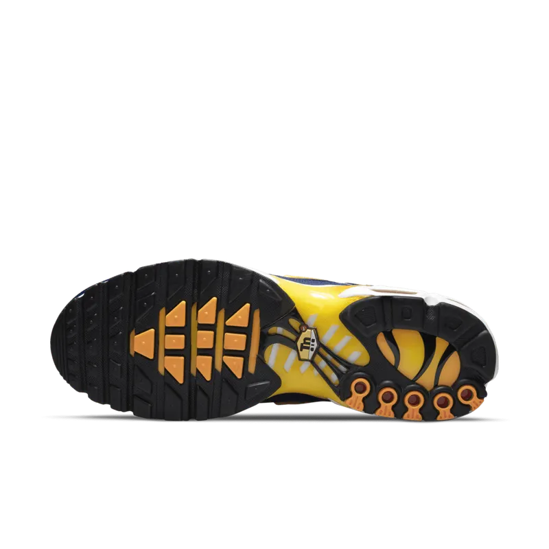 Nike Air Max Plus Blue (DM3530-400)