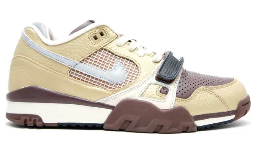 Nike Air Trainer 2 SB Metallic Gold/Reflect Silver