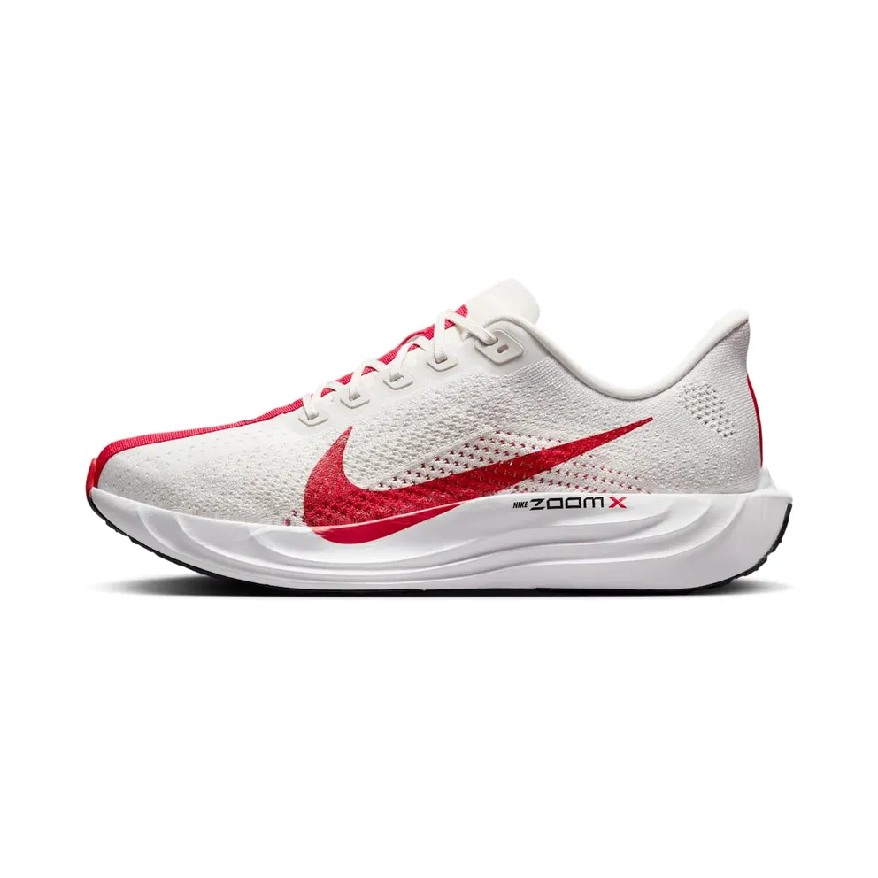 Nike Pegasus Plus “Platinum Tint University Red” (FQ7262-003)