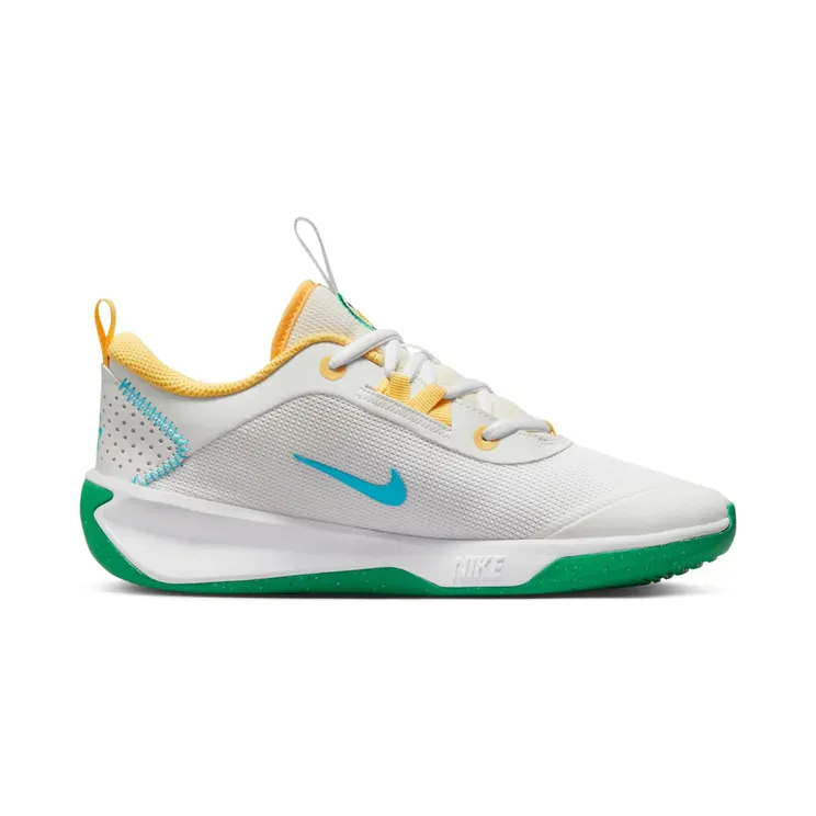 nike-omni-multi-court FJ7719-141