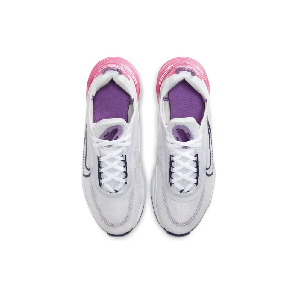 Nike Air Max 2090 Platinum Watermelon Purple (GS) Platinum Tint/Watermelon-Purple Nebula-Blackened Blue (CJ4066-003)