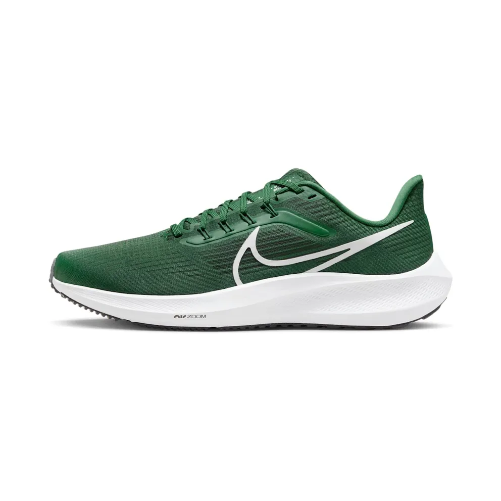 Nike Air Zoom Pegasus 39 TB “Gorge Green / Black / White” (DM0164-300)