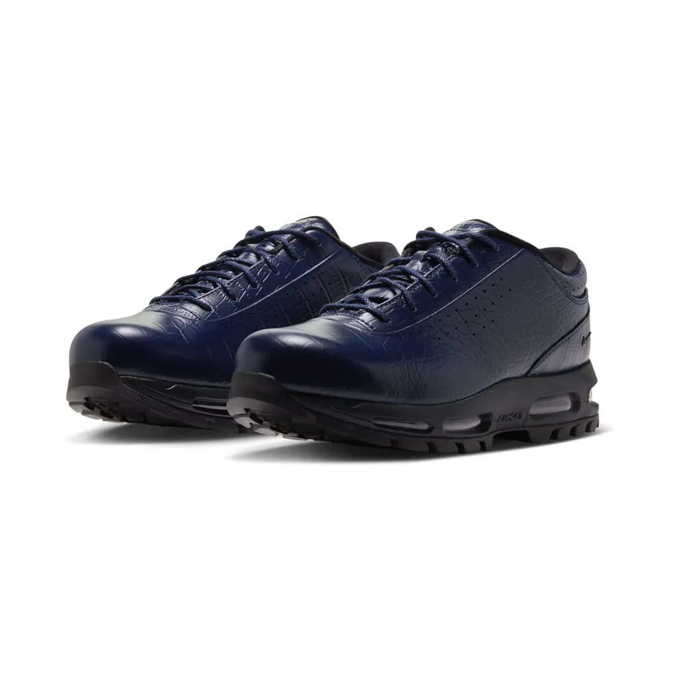 Nike Air Max Goadome Low (IV4517-400)