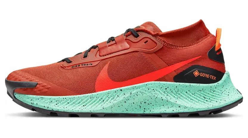 nike-air-pegasus DC8793-800