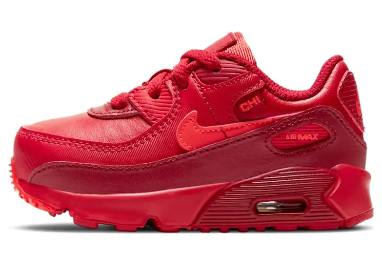 Nike Air Max 90 City Special Chicago (TD) (DH0153-600)