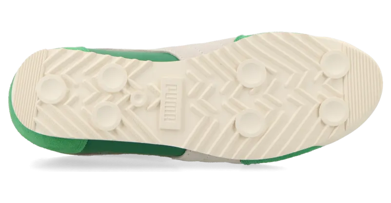 puma-arizona 398682_03