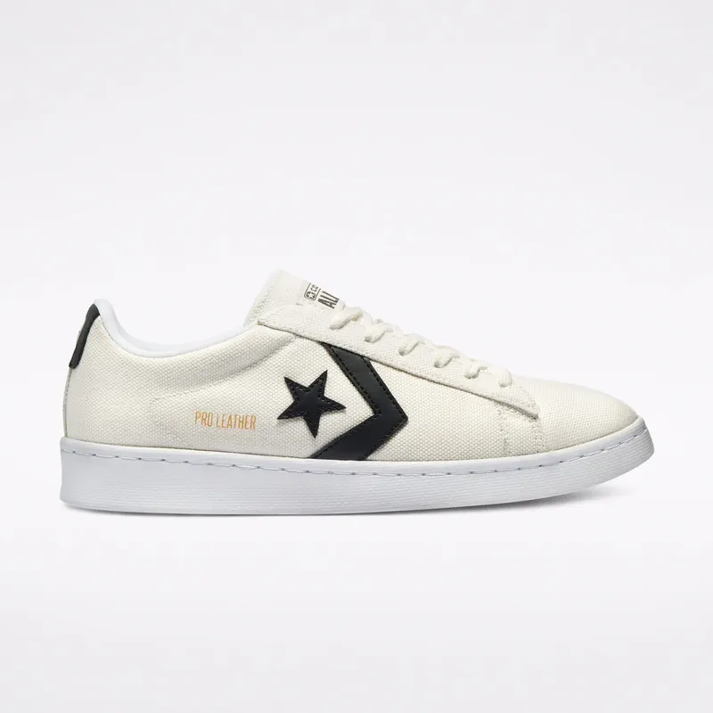 Converse Court Daze Pro Leather Low Top Egret/Black/White (170752C)