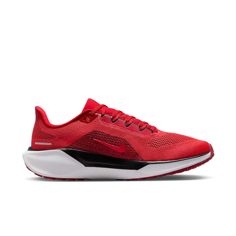 Nike Air Zoom Pegasus 41 Georgia (FZ5115-600)
