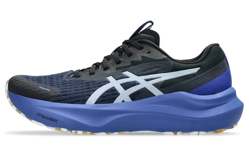 asics-gt-2000-2 1011C128-400