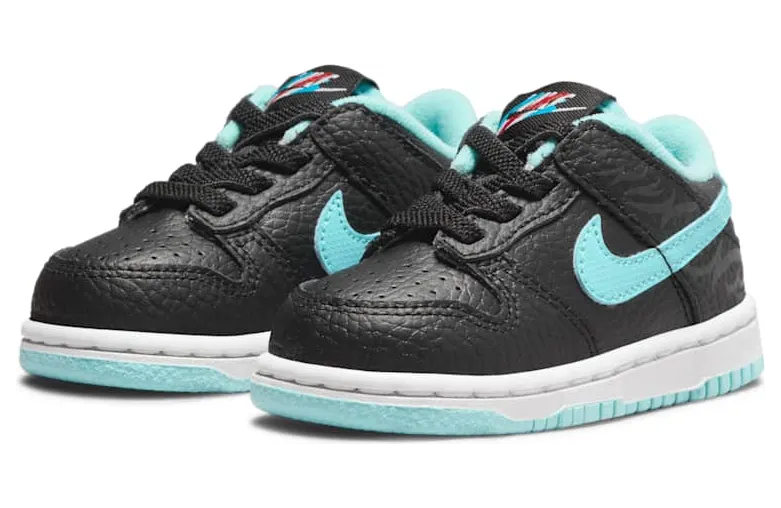 nike-dunk DH9760-001