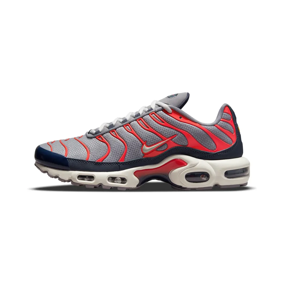 Nike Air Max Plus USA Grey (DB0682-003)