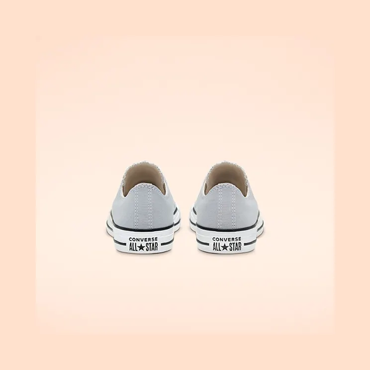 converse-chuck-taylor-all-star 166710C