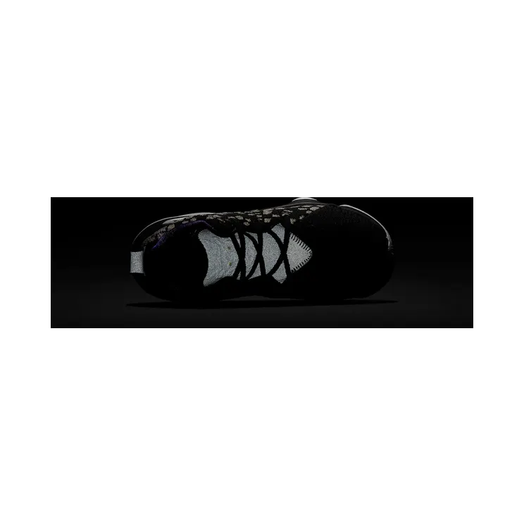 nike-lebron-17 BQ5595-004