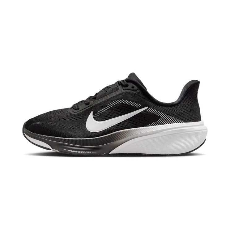 Nike Pegasus “Black / Photon Dust / White” (IH2306-002)