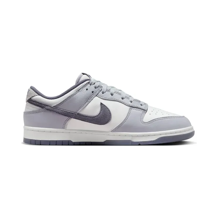 nike-dunk FJ4188-100